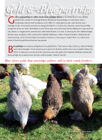 Journal: Brahma Hen (Chicken Collection): Publications, Dreamflight:  9781718043695: : Books