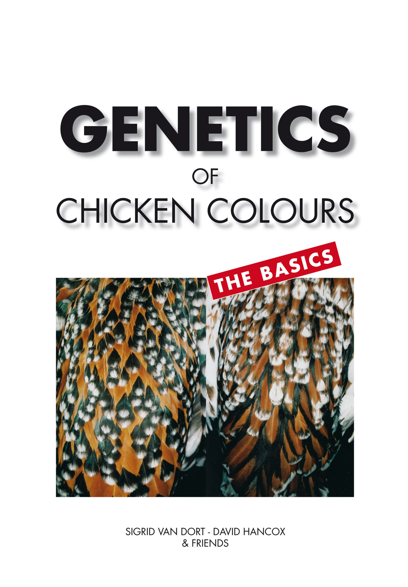 of Chicken Colours book