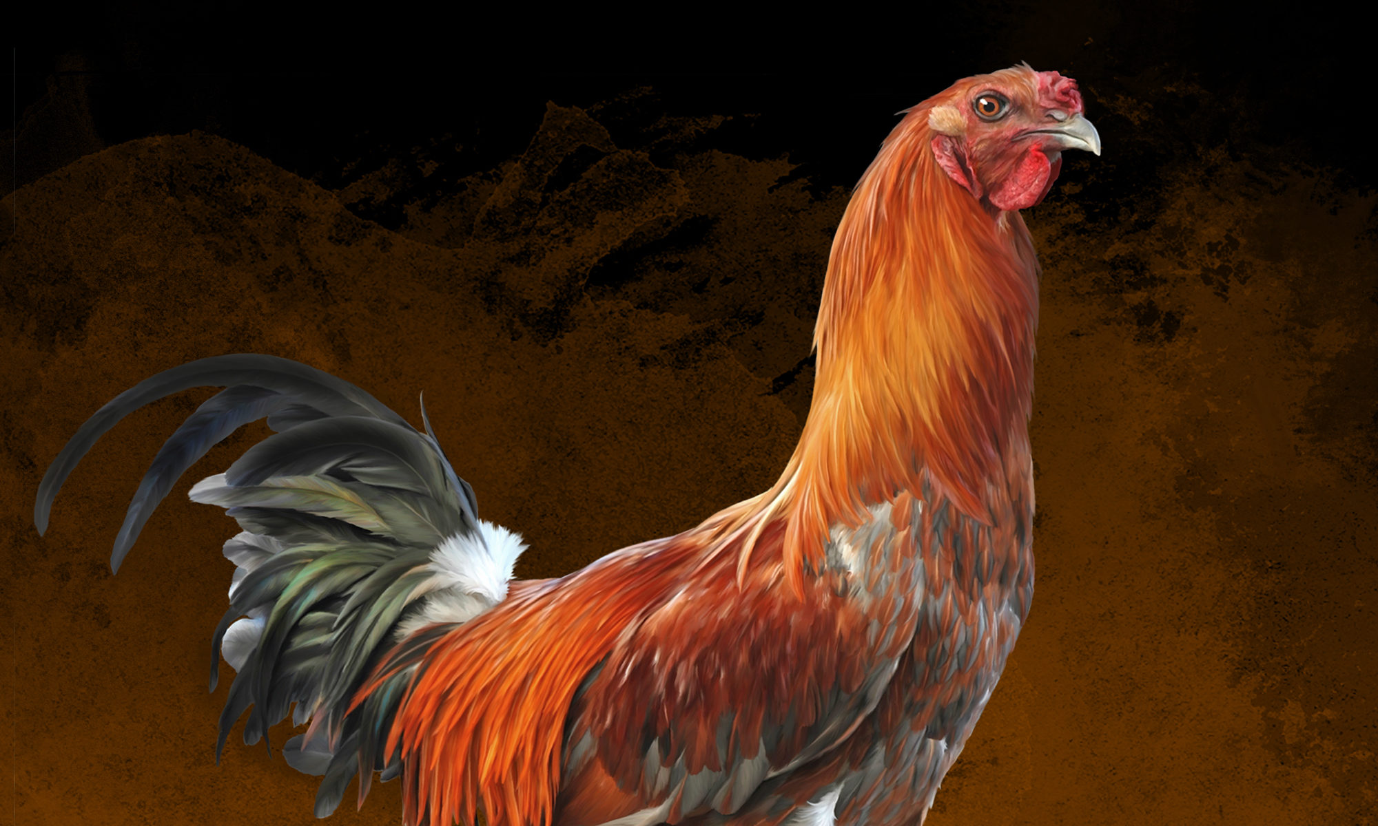 Sigrid van Dort www.chickencolours.com