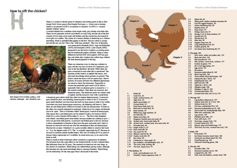 of Chicken Extremes book